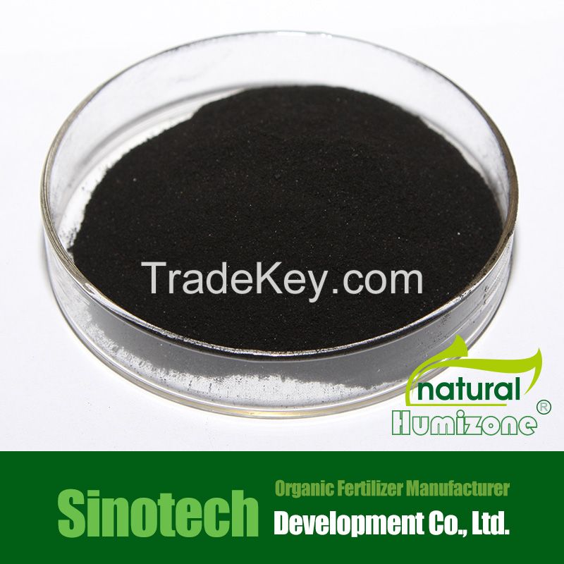 Humic Acid from Leonardite: Humizone Potassium Humate Powder (H080-P)