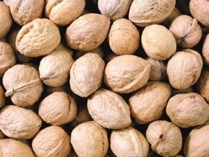 Walnut Kernels | Dried Fruits | Walnut Suppliers | Walnut Exporters | Walnut Manufacturers | Cheap Walnut | Wholesale Walnut | Discounted Walnut | Bulk Walnut | Walnut Buyer | Import Walnuts | Shelled Walnuts