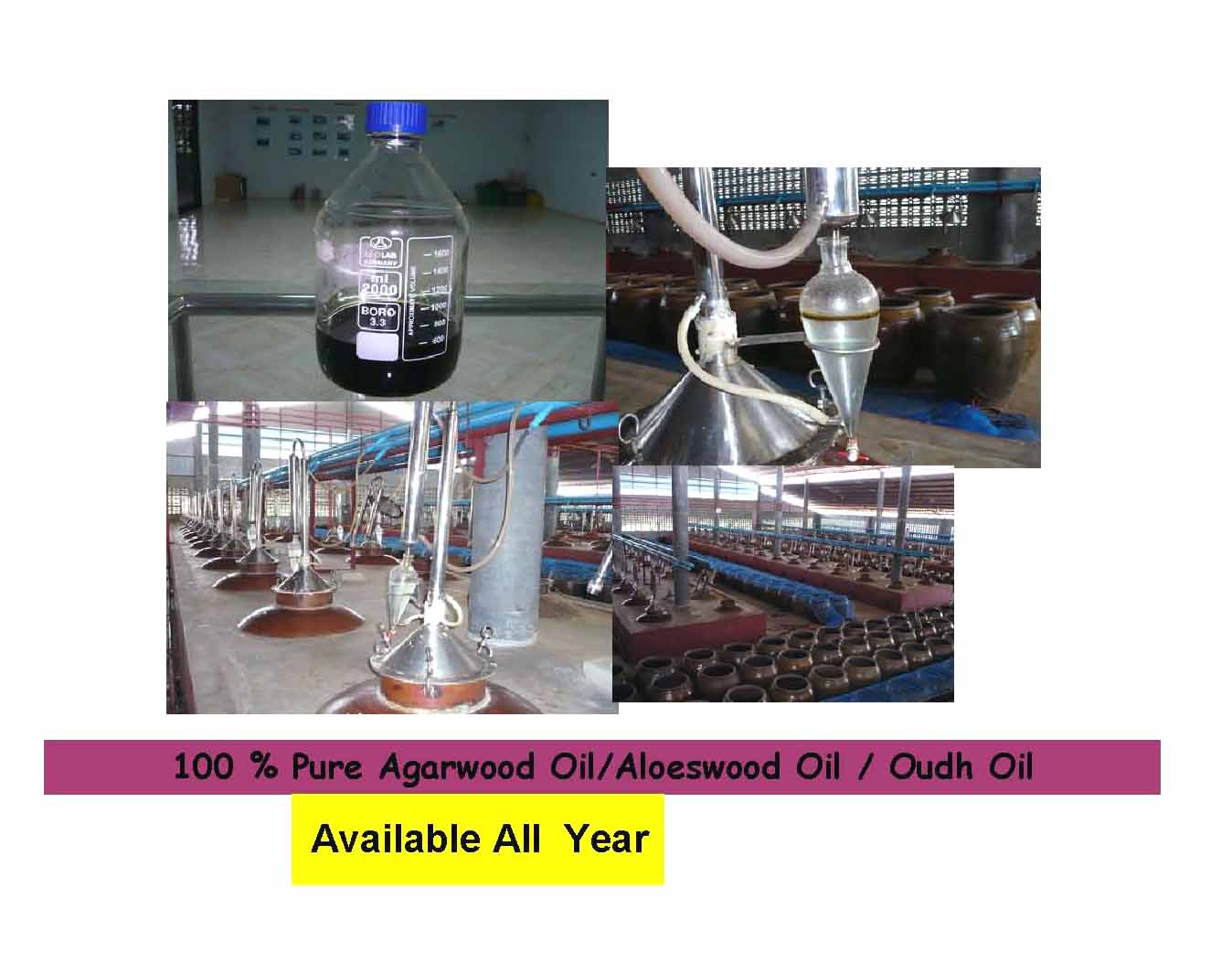 100% Pure Absolute Agarwood oil with DARK BROWN color