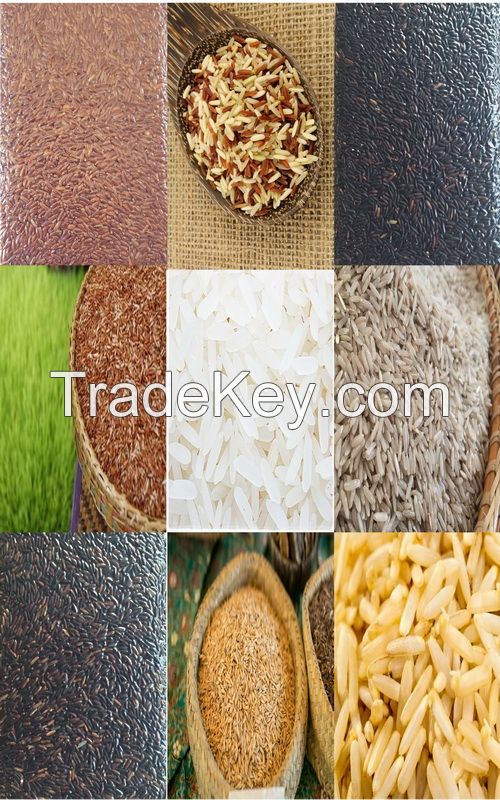 Gaba rice,red rice,organic rice,rice burry,brown rice