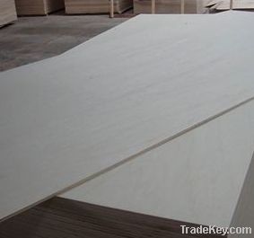 poplar plywood