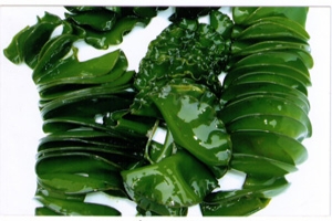 frozen wakame (Sea Mustard)spore leaf