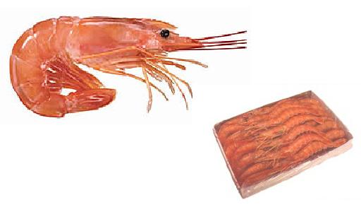 Shrimps (pleoticus muelleri)