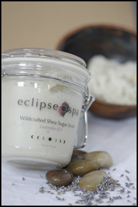 Wildcrafted Shea Sugar Scrub