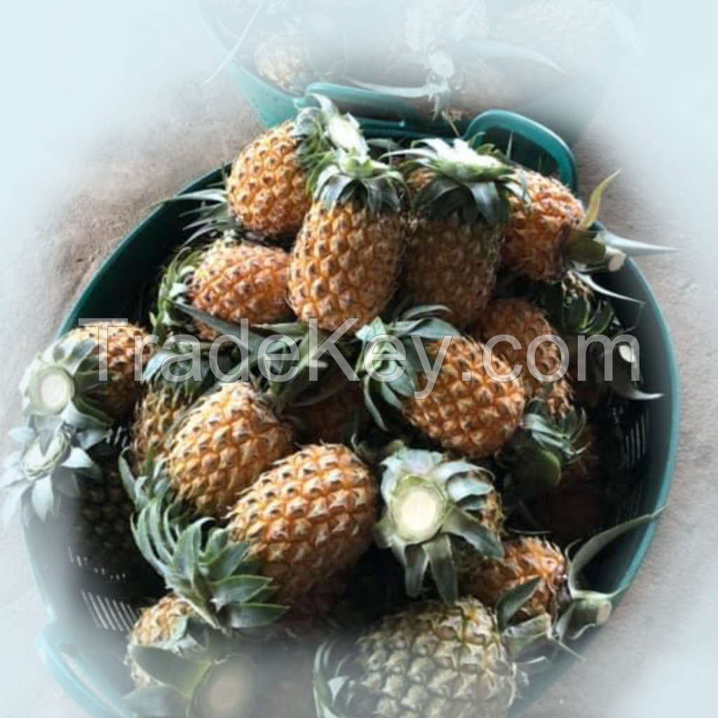 Fresh pineapple