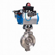 High Performance Butterfly Valve