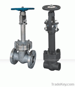 Cryogenic Gate Valve