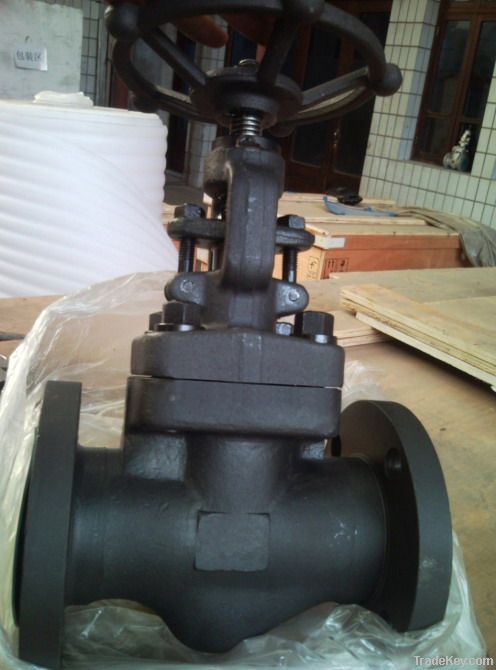 Forged Steel Globe Valve