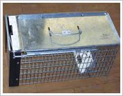 rat trap cage