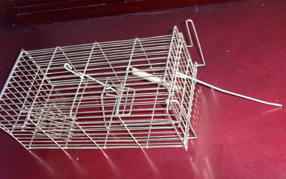 mouse trap cage