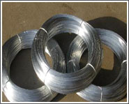 Galvanzied wire