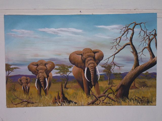 Wild Life Paintings