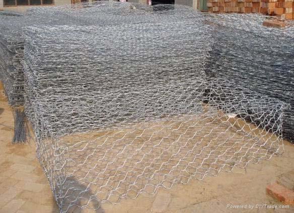 hexagonal wire mesh