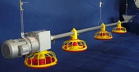 feeding system for broilers and breeders