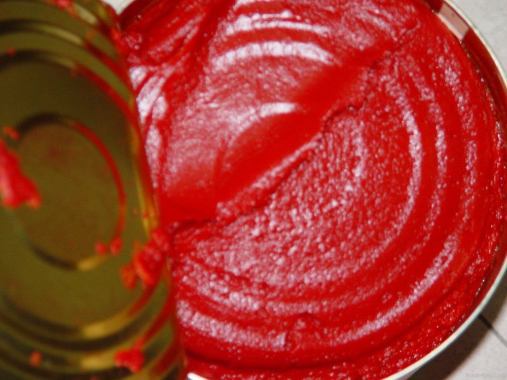 tomato paste