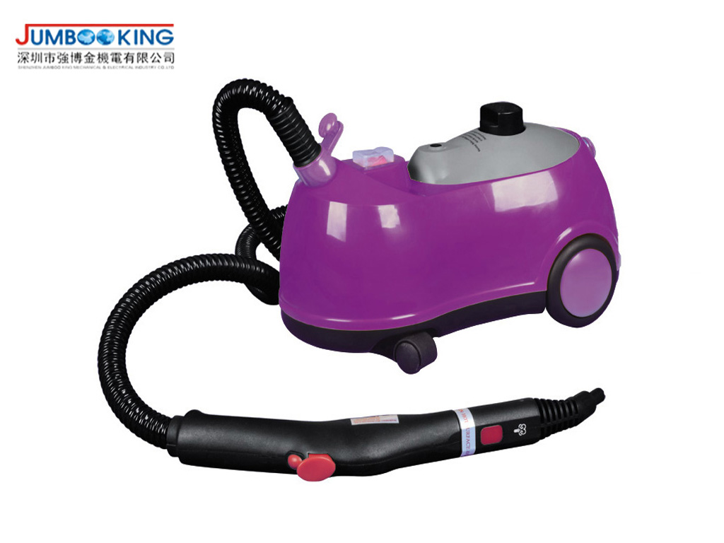 Steam Cleaner