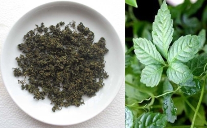 Fiveleaf Gynostemma Herb Tea