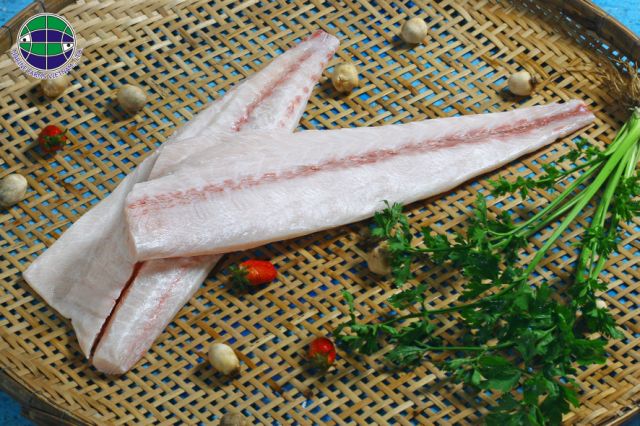 Frozen Farmed Cobia Fillet Skin-less