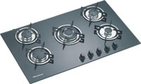 Gas stove