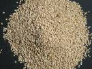 Sesame Seeds