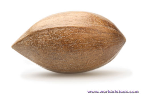 Pecan Nut