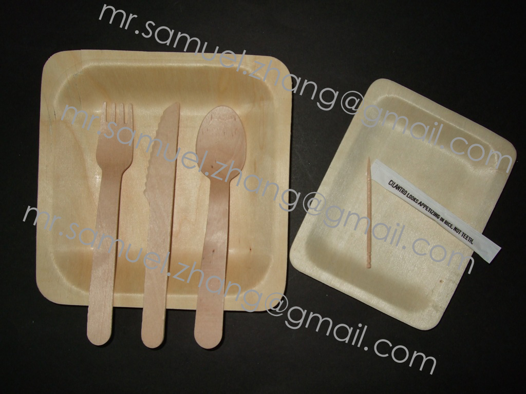 Wooden Disposable Tray/Plate