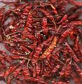 dried red chilli