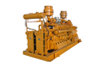 Natural gas generator set