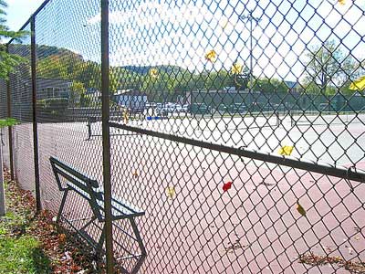 Chain Link Fence