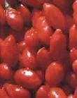 wolfberry/goji berry