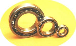 Hybrid Bearing