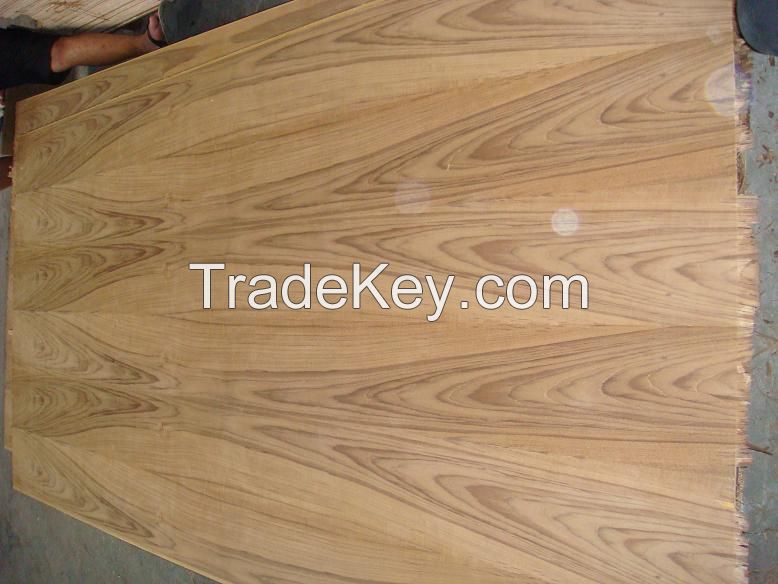 natural teak fancy plywood