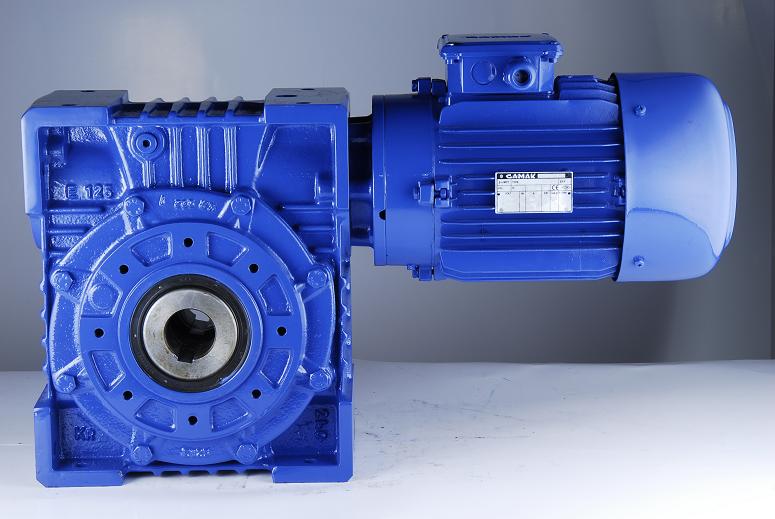 Worm Geared Motors