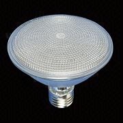 LED PAR30 Bulb