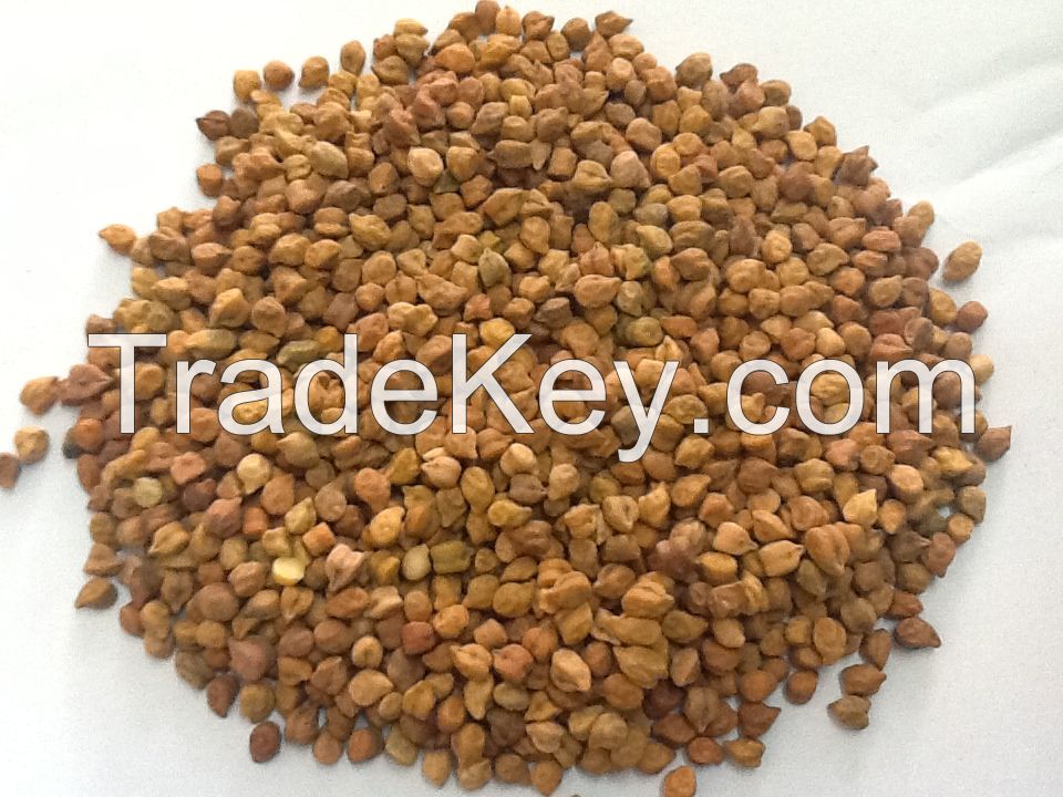 CHICKPEAS DESI TYPE 