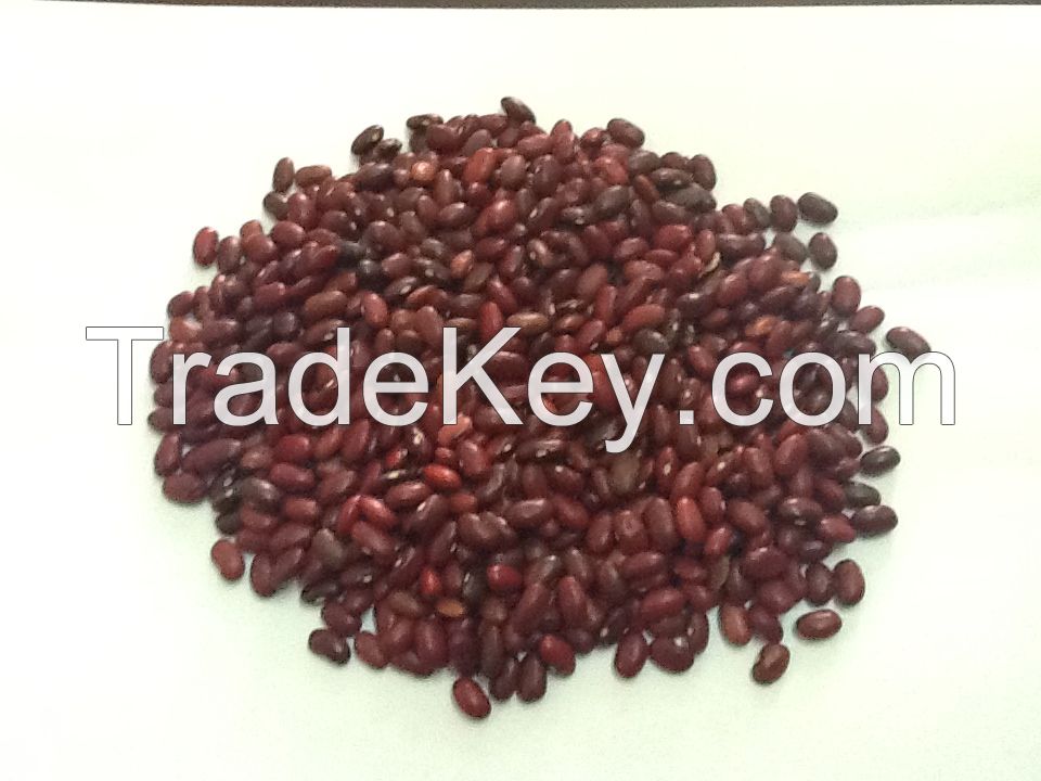 ETHIOPIAN ORIGIN RED KIDNEY BEANS