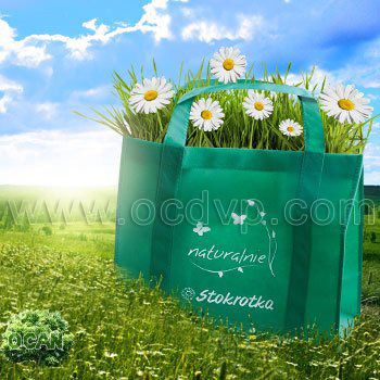 pp Non woven Shopping Bag