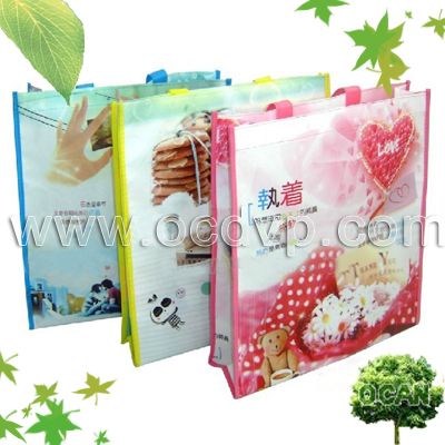 Laminated Non woven shopping bag