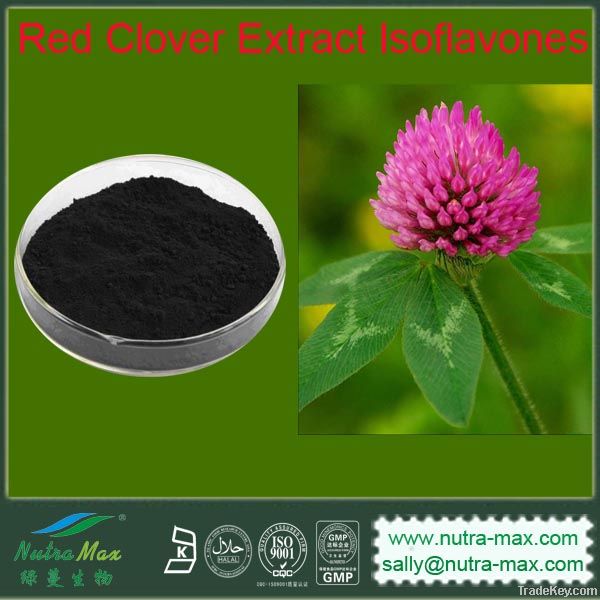 Red Clover Extract 20% Isoflavones