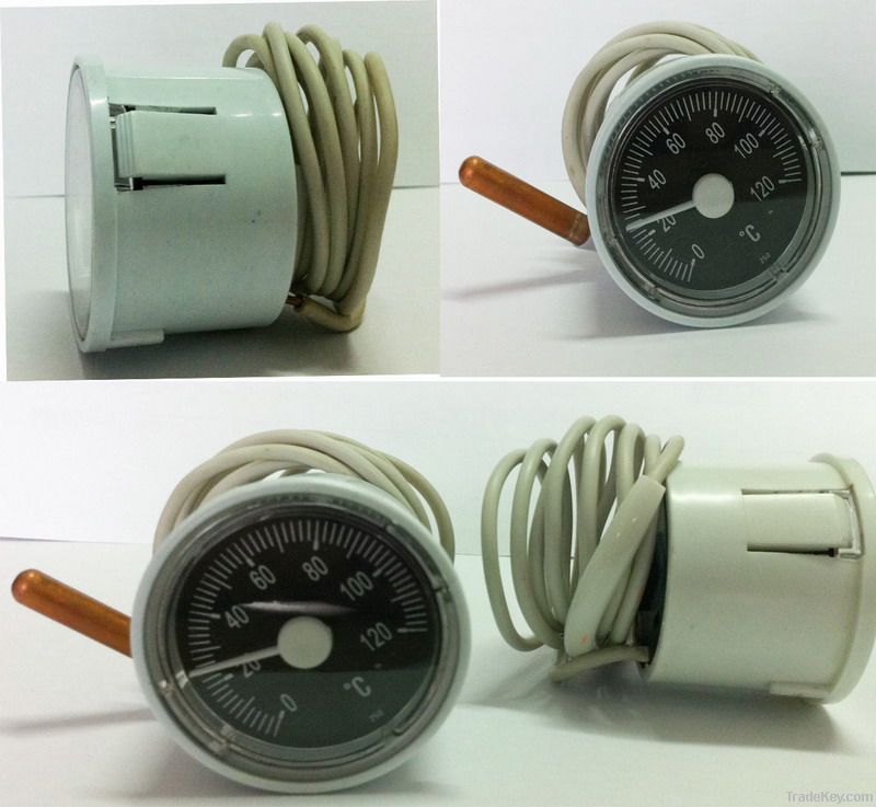 Capillary Thermometer