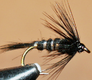 Burkes Nymphs