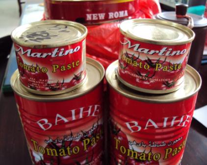 canned tomato paste