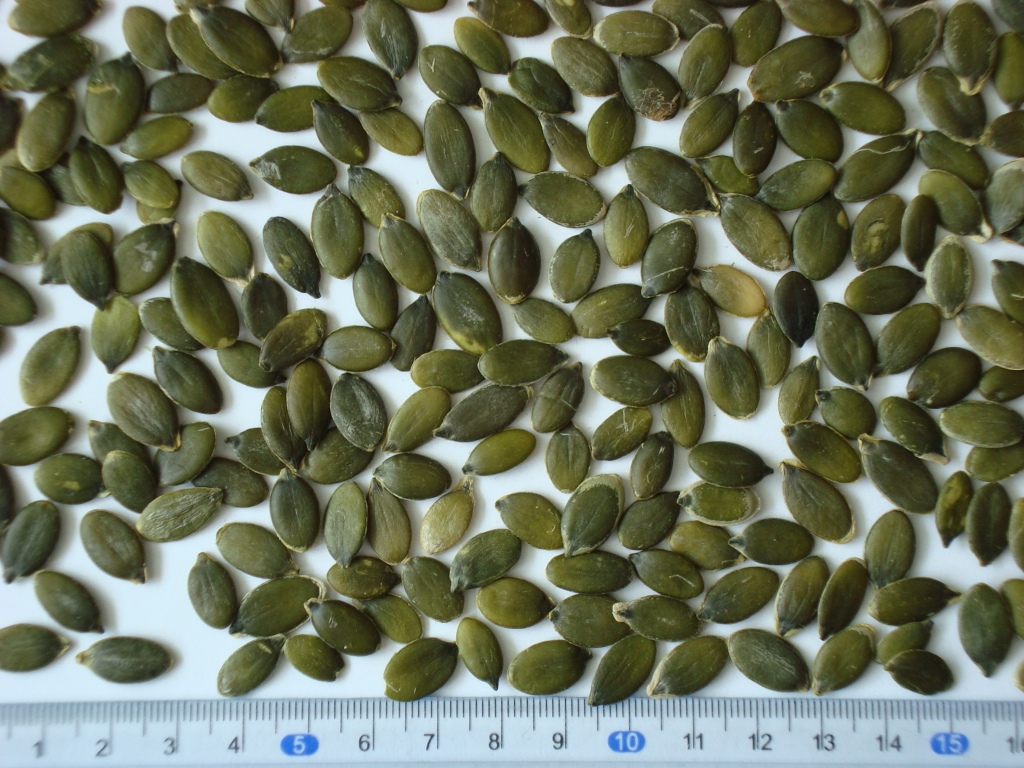 Pumpkin seeds kernels, grown without shell