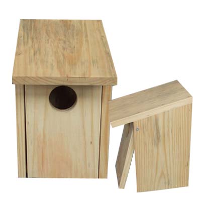 bird house