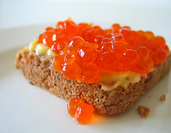 Salmon Roe