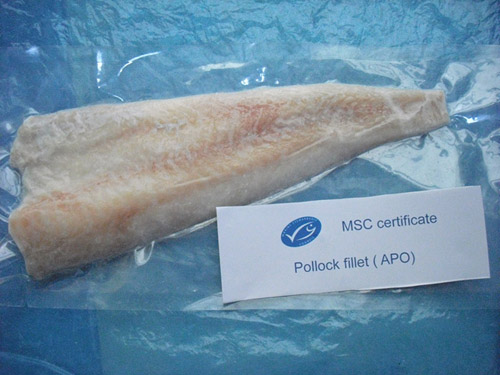 Pollock Fillets (APO)