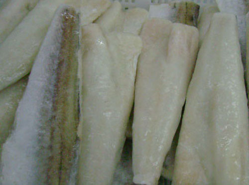 Pollock Fillets (APO)