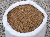 Grey Peas