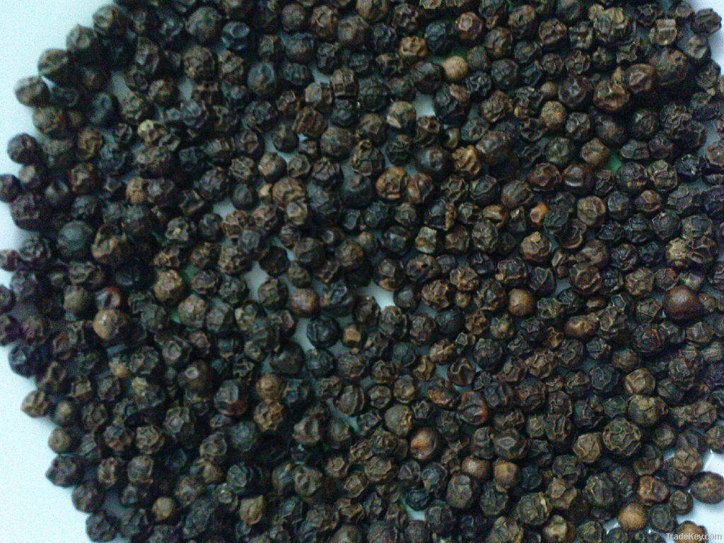 Black Pepper