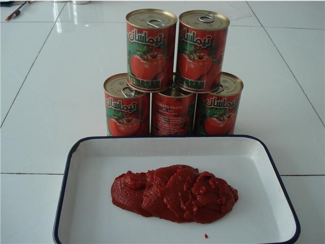 CANNED TOMATO PASTE